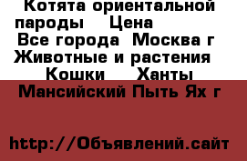 Котята ориентальной пароды  › Цена ­ 12 000 - Все города, Москва г. Животные и растения » Кошки   . Ханты-Мансийский,Пыть-Ях г.